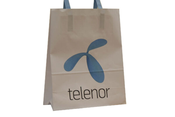 Kraft Paper Bags