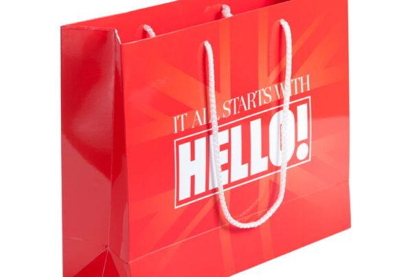 Laminated Paper Bags