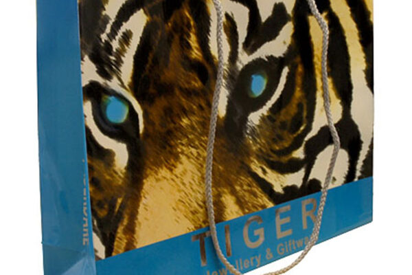 laminatedpaperbags13