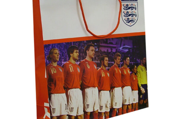 laminatedpaperbags6