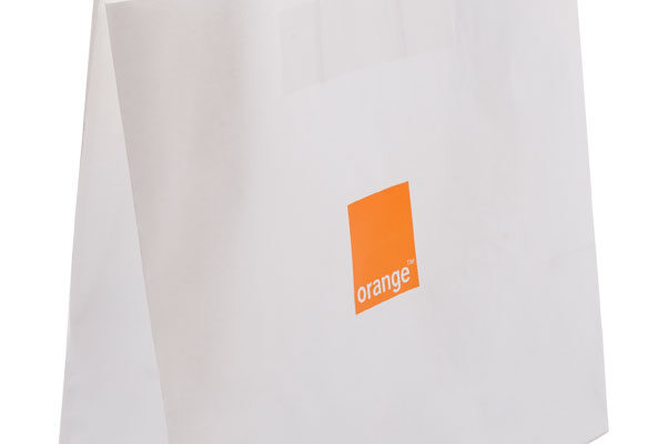 Twisted paper handle bags