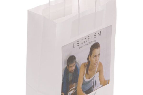 Twisted paper handle bags